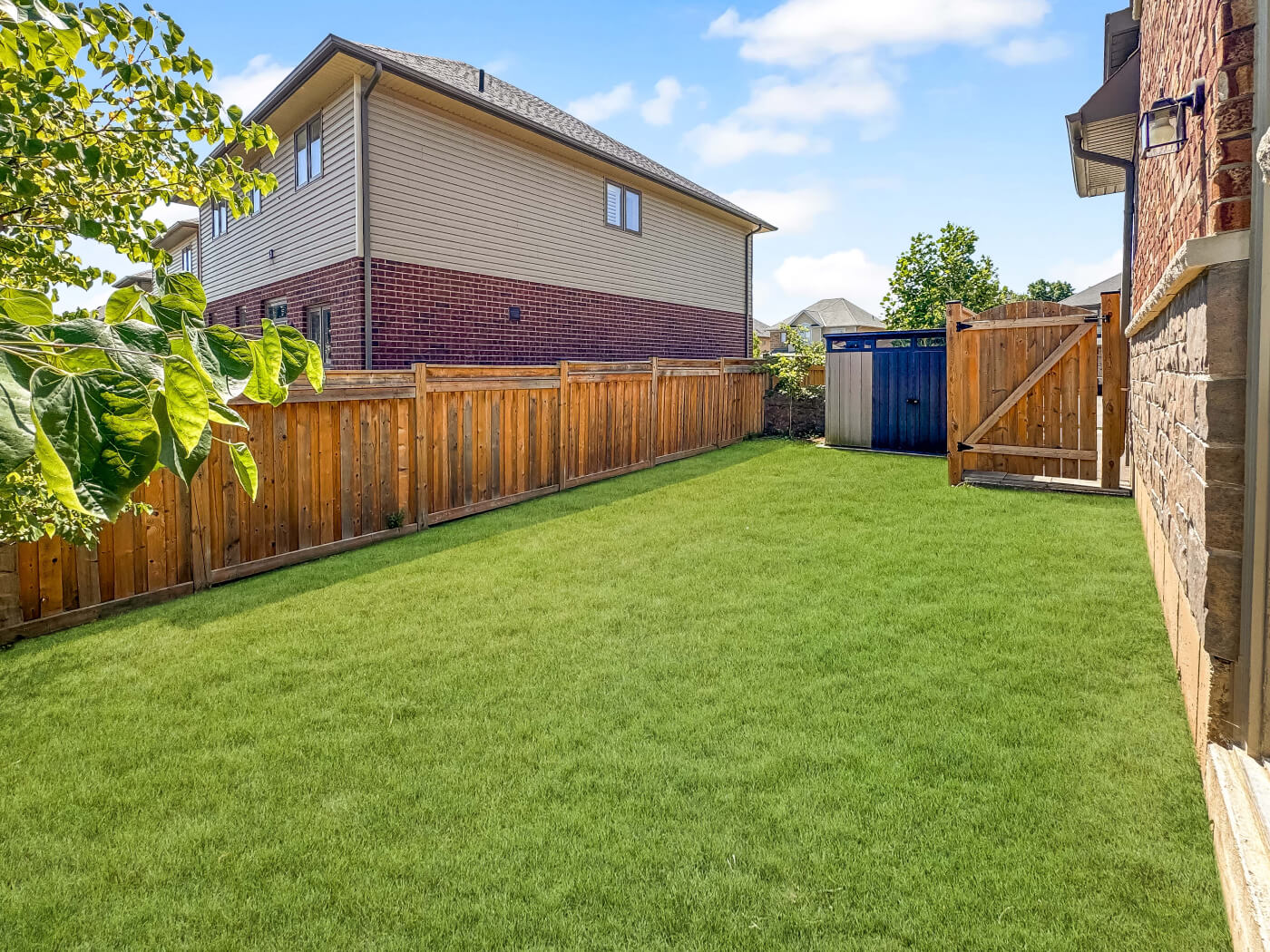 192 PUMPKIN Pass-20 (1)