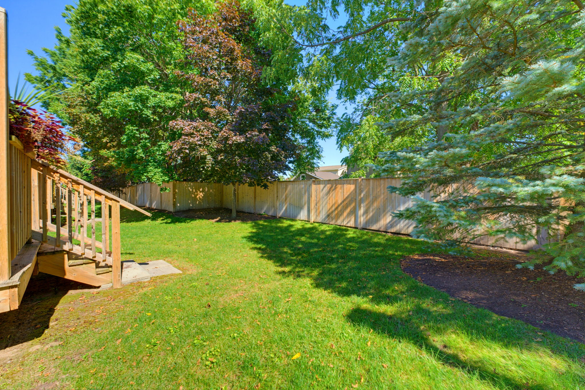 37-web-or-mls-DSC09516
